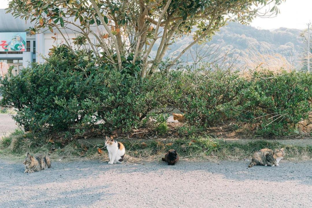 ホテル Nagasaki House ぶらぶら エクステリア 写真