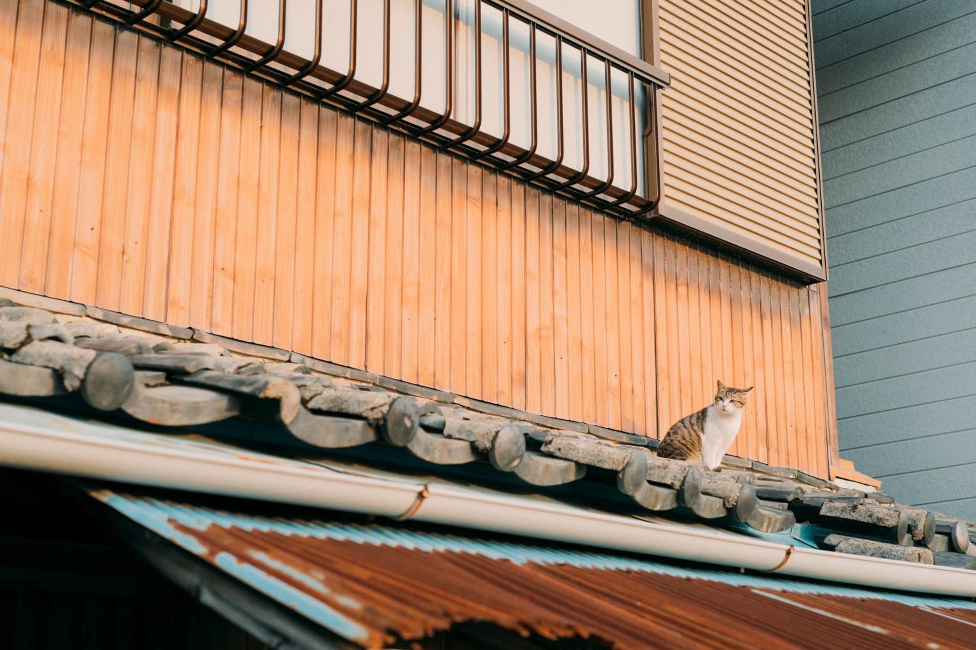 ホテル Nagasaki House ぶらぶら エクステリア 写真